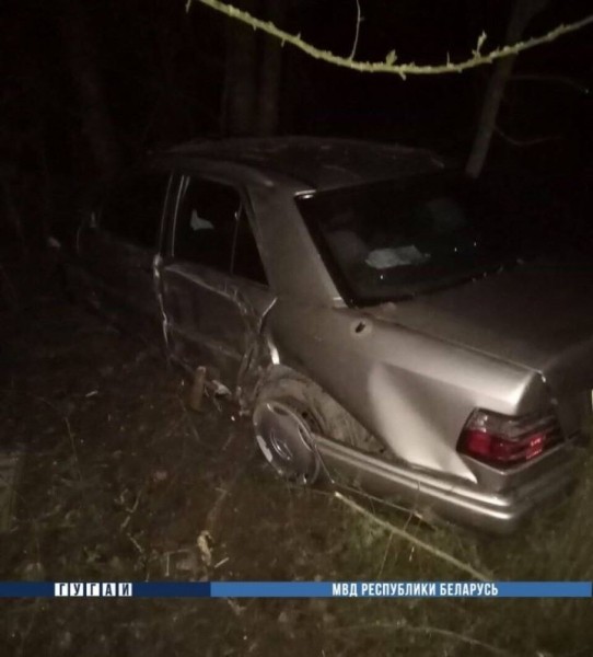 В Брестском районе пьяный водитель врезался в дерево