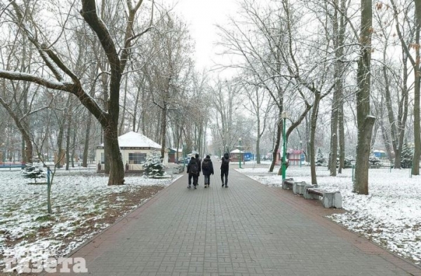 Смотрите, как снег преобразил главный городской парк Бреста