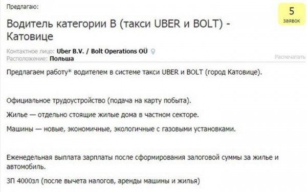 С зарплатой от 700 до 2000 евро. На какую работу могут рассчитывать белорусские водители в Польше и Литве С зарплатой от 700 до 2000 евро. На какую работу могут рассчитывать белорусские водители в Польше и Литве