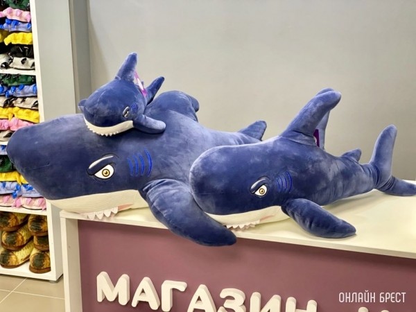 Вам точно нужен кигуруми! Яркие, необычные подарки к 8 Марта в магазине настроения «Кигуруми» в Бресте Вам точно нужен кигуруми! Яркие, необычные подарки к 8 Марта в магазине настроения «Кигуруми» в Бресте