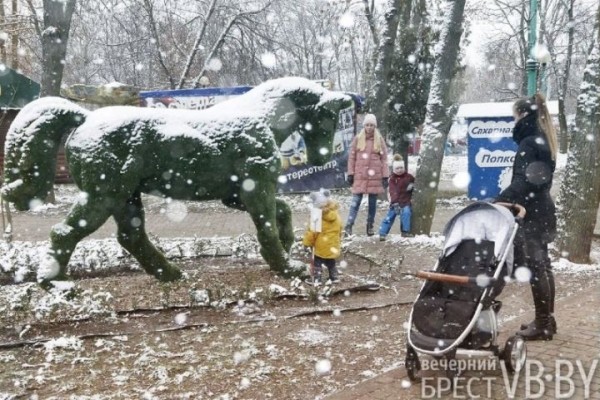 Первый снег нового года превратил обычную прогулку в яркие моменты. Фоторепортаж с улиц Бреста