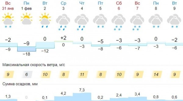 В Бресте в ближайшую ночь синоптики прогнозируют до минус 15