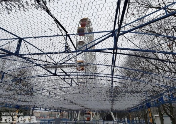 Смотрите, как снег преобразил главный городской парк Бреста