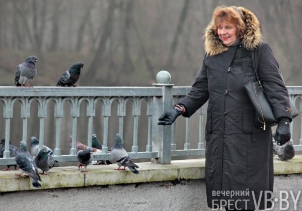 А это точно декабрь перед Новым годом? Набережная Бреста украшена весенними красками А это точно декабрь перед Новым годом? Набережная Бреста украшена весенними красками