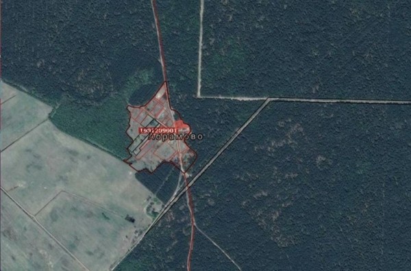 Итоги аукциона: за сколько были проданы участки в Беловежской пуще?