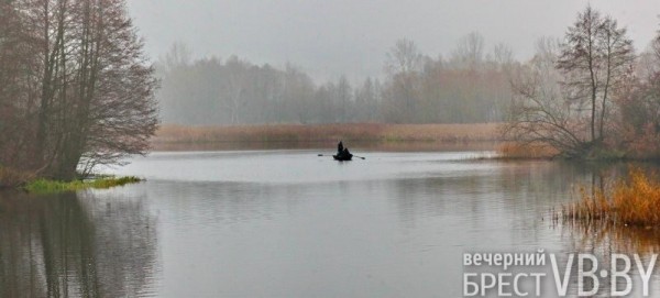 А это точно декабрь перед Новым годом? Набережная Бреста украшена весенними красками А это точно декабрь перед Новым годом? Набережная Бреста украшена весенними красками