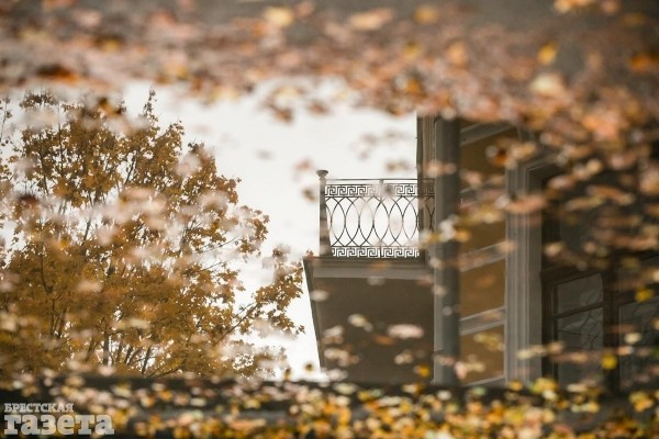 «Сколько чудес за туманами кроется»: Фоторепортаж с центра Бреста, который воскресным утром охранял «седой сторож»