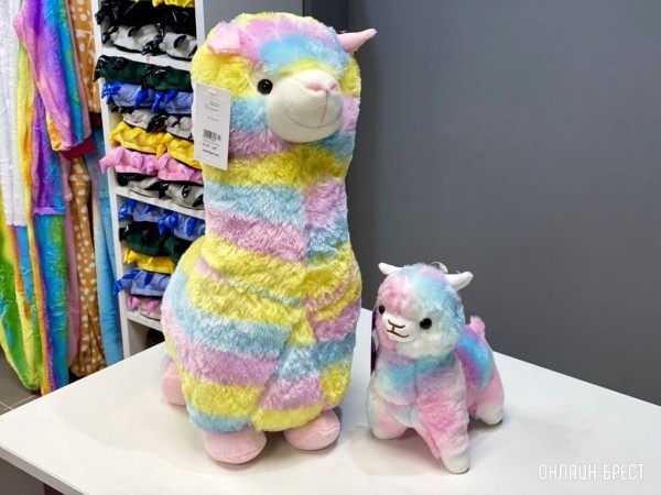 Вам точно нужен кигуруми! Яркие, необычные подарки к 8 Марта в магазине настроения «Кигуруми» в Бресте Вам точно нужен кигуруми! Яркие, необычные подарки к 8 Марта в магазине настроения «Кигуруми» в Бресте