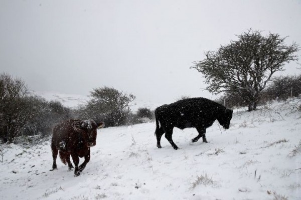 «Сильнейший за последние 10 лет снежный шторм»: Европу завалило снегом, синоптики пугают и небывалыми морозами