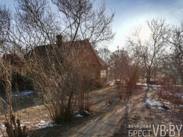 В «родовом гнезде» брестчанок собрался целый заповедник птиц