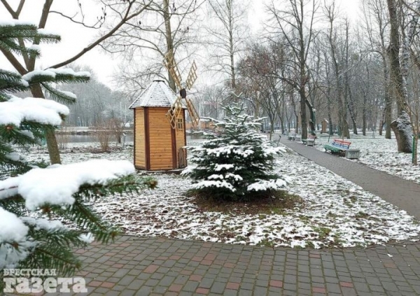 Смотрите, как снег преобразил главный городской парк Бреста
