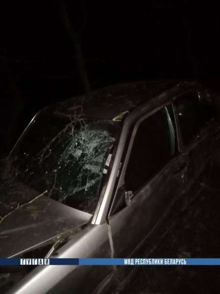 В Брестском районе пьяный водитель врезался в дерево