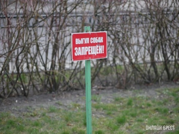 Почему на Вульке (ул. Рябиновая) не предусмотрены специальные площадки для выгула собак? Животные справляют свою нужду куда попало.
             
                Почему на Вульке (ул. Рябиновая) не предусмотрены специальные площадки для выгула собак? Животные справляют свою нужду куда попало.