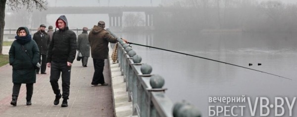 А это точно декабрь перед Новым годом? Набережная Бреста украшена весенними красками А это точно декабрь перед Новым годом? Набережная Бреста украшена весенними красками