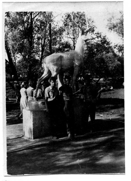 «Беларусь» в 60-е и советская легенда Игорь Нетто на «Газоаппарате». Смотрим старые фото из альбомов брестчан «Беларусь» в 60-е и советская легенда Игорь Нетто на «Газоаппарате». Смотрим старые фото из альбомов брестчан