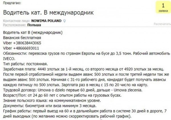 С зарплатой от 700 до 2000 евро. На какую работу могут рассчитывать белорусские водители в Польше и Литве С зарплатой от 700 до 2000 евро. На какую работу могут рассчитывать белорусские водители в Польше и Литве