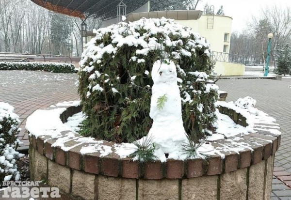 Смотрите, как снег преобразил главный городской парк Бреста