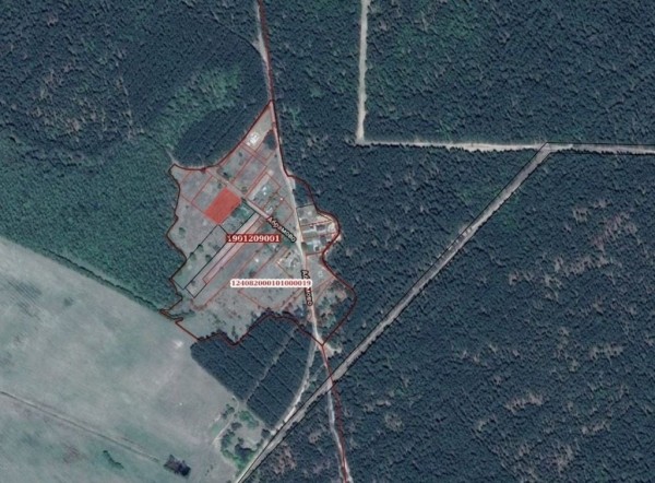 Итоги аукциона: за сколько были проданы участки в Беловежской пуще?