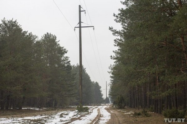 Я живу в Абрамово (Каменецкий район). Как неперспективная пущанская деревня на пару жителей стала «модной» — и передумала умирать