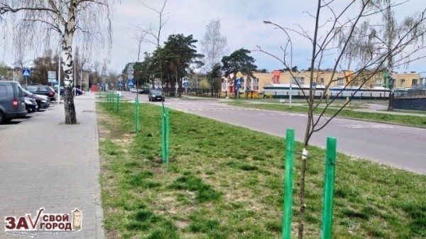 По результатам коллективного обращения высажены десятки деревьев в микрорайоне Южный в Бресте По результатам коллективного обращения высажены десятки деревьев в микрорайоне Южный в Бресте