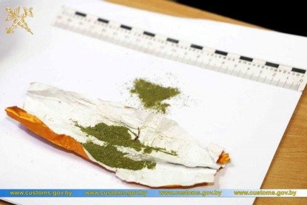 Брестские таможенники обнаружили марихуану среди автозапчастей в грузовике из Нидерландов Брестские таможенники обнаружили марихуану среди автозапчастей в грузовике из Нидерландов