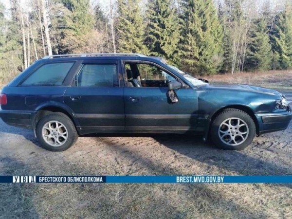 В Малоритском районе автомобиль врезался в дикое животное В Малоритском районе автомобиль врезался в дикое животное