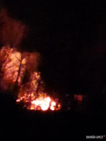
                Пожар на Карьерной в Бресте, за теплицами, ближе к гаражам. Очень много машин МЧС приехало
            