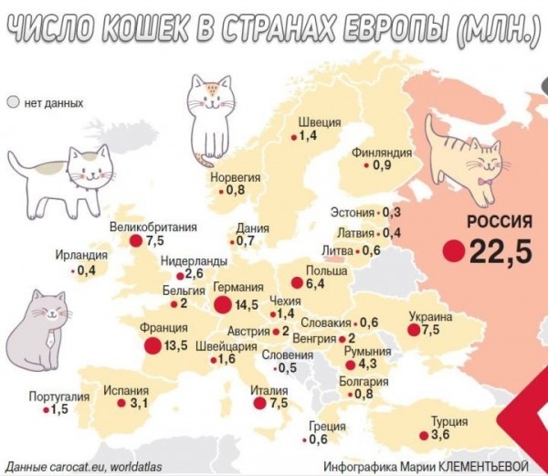 В Европе сравнили страны по количеству кошек