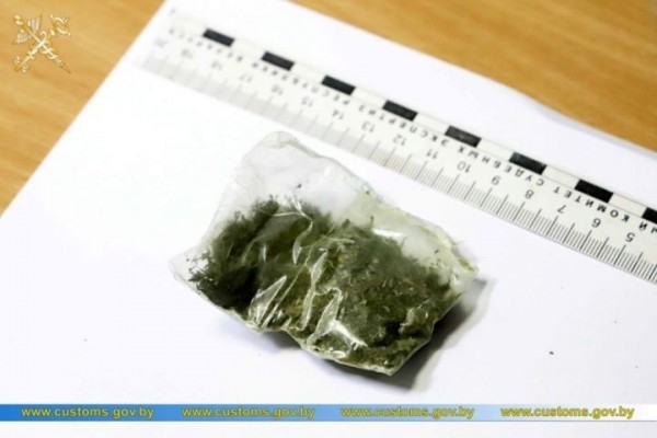 Брестские таможенники обнаружили марихуану среди автозапчастей в грузовике из Нидерландов Брестские таможенники обнаружили марихуану среди автозапчастей в грузовике из Нидерландов