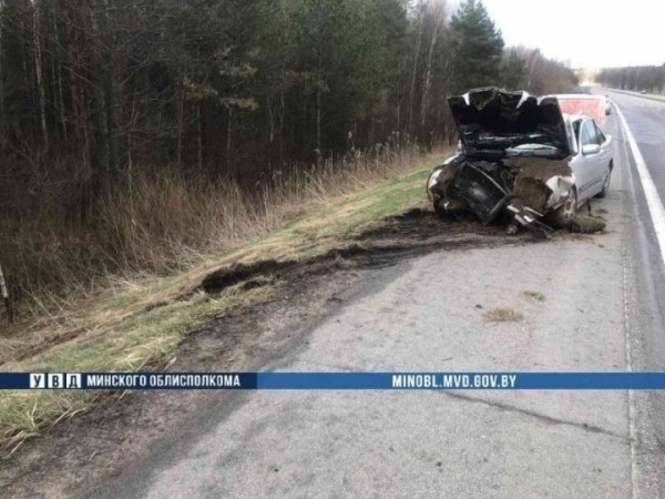 На М1 Mercedes сбил лося – водитель в реанимации, пострадал и пассажир