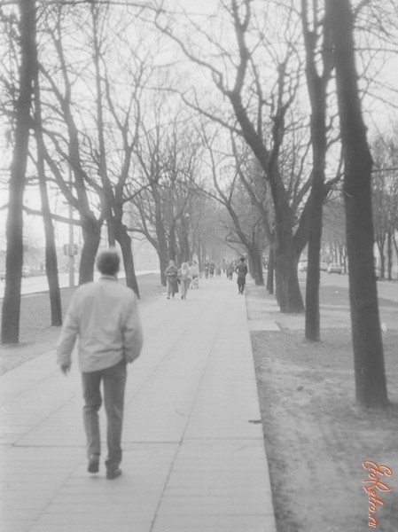 
                Посмотрите, как выглядел Брест в 1980 году
            