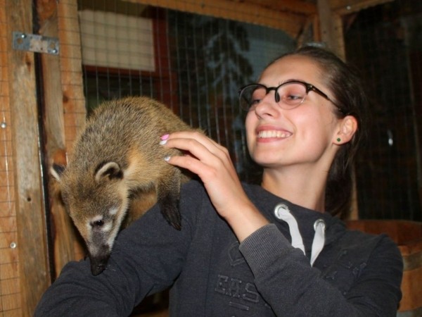 Это больше, чем контактный зоопарк! В Брест приезжает развлекательная интерактивная выставка животных «Ребятам о зверятах»