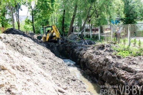 В Бресте у перекрестка Машерова – Шевченко срезали деревья В Бресте у перекрестка Машерова – Шевченко срезали деревья