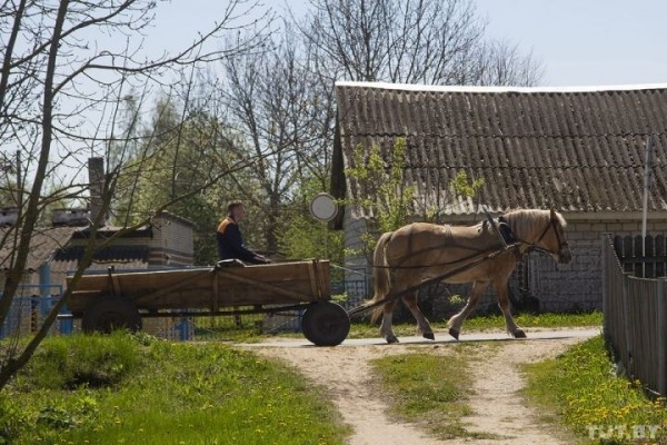 Как на Брестчине спасают дворец Радзивиллов