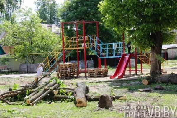 В Бресте у перекрестка Машерова – Шевченко срезали деревья В Бресте у перекрестка Машерова – Шевченко срезали деревья