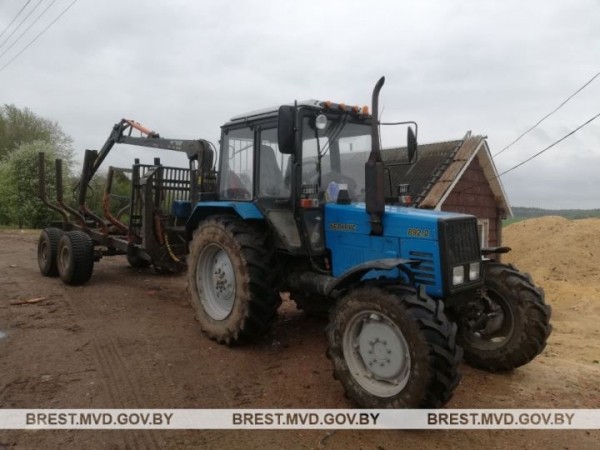 В Брестской области мужчина вывез чужую древесину на сумму более 3600 рублей