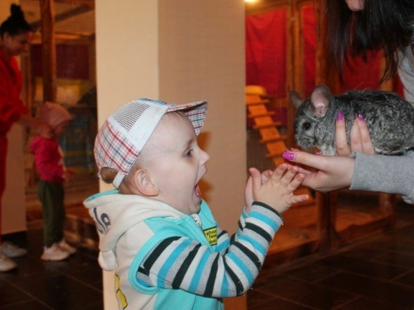 Это больше, чем контактный зоопарк! В Брест приезжает развлекательная интерактивная выставка животных «Ребятам о зверятах»