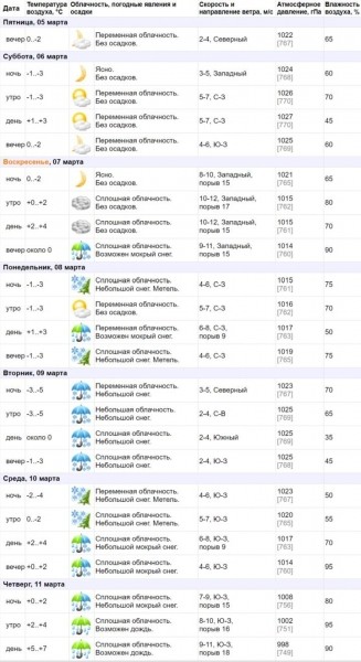 Весна отменяется? Какая погода ждет жителей Бреста
