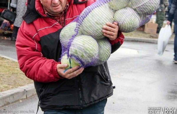 Почем закупают овощи и ягоды у населения? Почем закупают овощи и ягоды у населения?