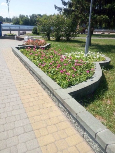 В Бресте летом высадят 365 тысяч цветов