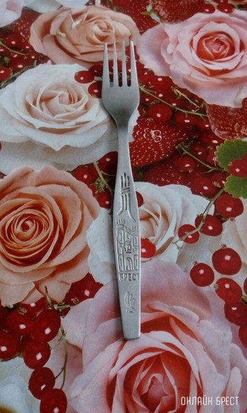 У кого есть такая вилка?
             
                У кого есть такая вилка?