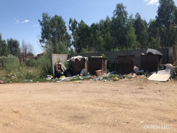Читатель: Деревня Именин, Кобринский район. Деревня примыкает к городу. Такое происходит не редко
Читатель: Деревня Именин, Кобринский район. Деревня примыкает к городу. Такое происходит не редко