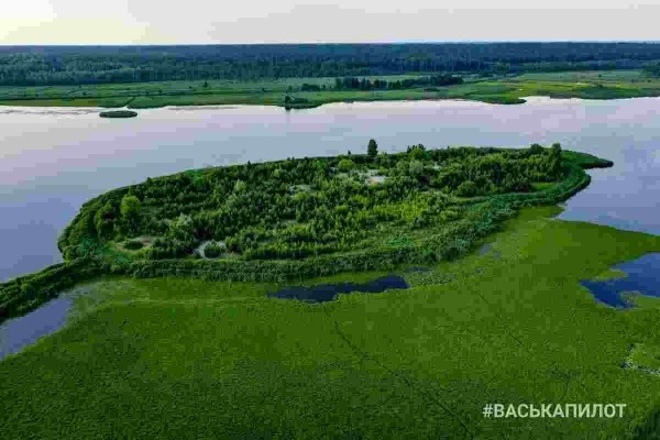 Беловежская пуща с высоты
Беловежская пуща с высоты