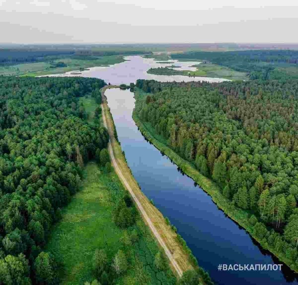 Беловежская пуща с высоты
Беловежская пуща с высоты