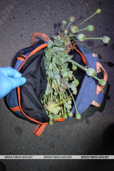 Когда ночное «дело» заканчивается неудачно. Случай в Брестской области