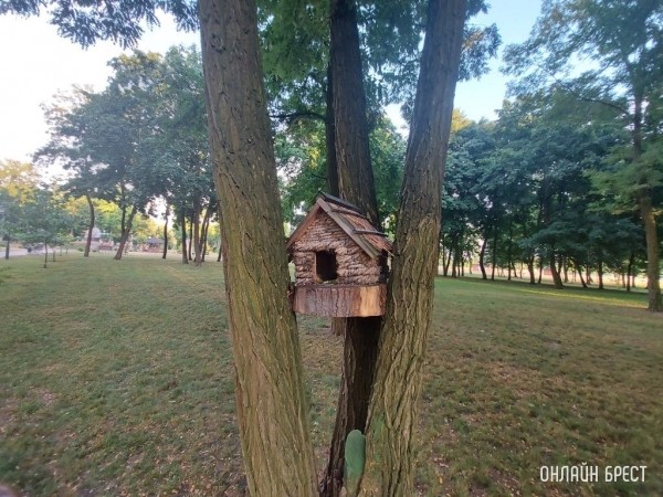 Брест. Летний Городской сад вечером после дождя
             
                Брест. Летний Городской сад вечером после дождя