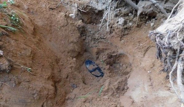 В Смолевичском районе предприниматель вывез мужчину в лес, выстрелил ему в голову и закопал