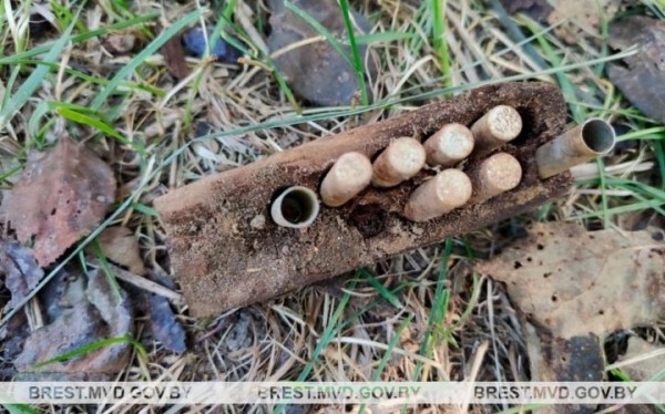 Житель Брестской области копал выгребную яму и нашел военный арсенал