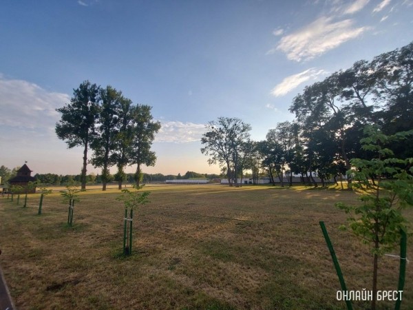 Брест. Летний Городской сад вечером после дождя
             
                Брест. Летний Городской сад вечером после дождя