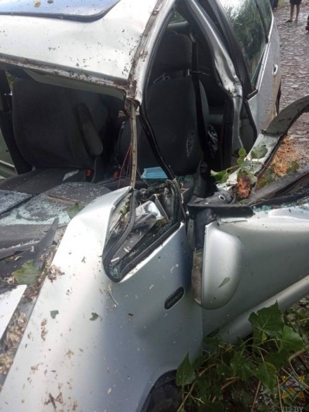 В Брестской области на двигавшийся автомобиль рухнуло дерево В Брестской области на двигавшийся автомобиль рухнуло дерево